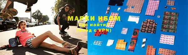 индика Зерноград