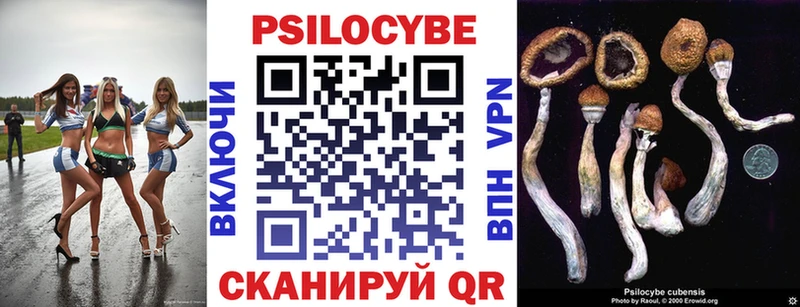 darknet какой сайт Горняк Галлюциногенные грибы MAGIC MUSHROOMS