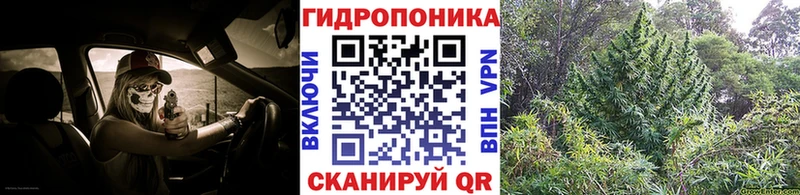 Бошки Шишки планчик  цена наркотик  Горняк 